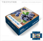 简约大气蓝莓包装箱包装礼盒设计