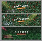 玫瑰