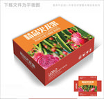 火龙果高端包装箱包装礼盒设计