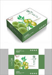 绿色李子包装箱包装礼盒设计