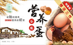 鸡蛋标签
