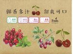 樱桃元素包装