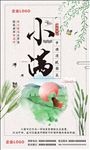 小满节气海报
