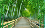 竹林背景墙