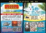 旅游船  海上游 宣传单 海报