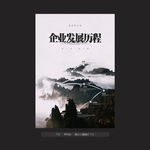 企业发展历程