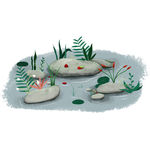 小池塘插画植物