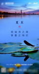 夏至