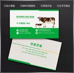 牛名片