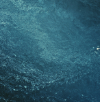 海水
