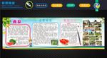 西瓜种植 西瓜图片 西瓜海报