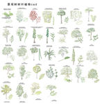 CAD树木植物图块