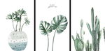 抽象手绘仙人掌北欧植物装饰画
