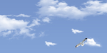天空