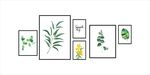 北欧植物组合挂画