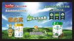 宜品   爱尼可奶粉