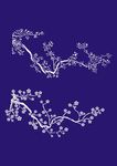 梅花