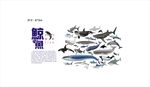 海洋馆 水族馆 海洋科普知识