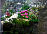 会所水景