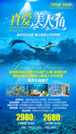 福建旅游海报 厦门旅游海报