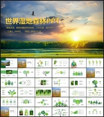 保护森林湿地PPT