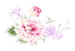 手绘花