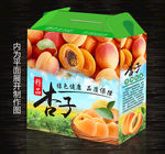 杏子包装设计