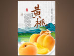 黄桃海报
