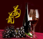 葡萄酒海报 葡萄酒广告 he