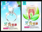 牙齿