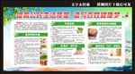 夏季健康教育