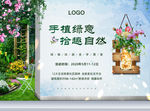 绿植diy