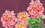 菊花电视背景墙