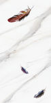 抽象新爵士白玄关 TIF分层