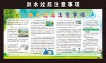洪水过后