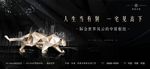 豹 子地产豪宅主形象图片
