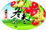 冬枣标签