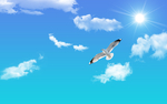 天空