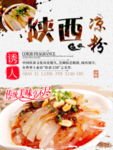 陕西凉粉海报