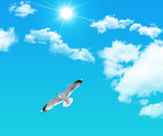 天空