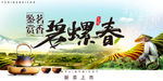 茶叶新茶上市碧螺春茶道海报