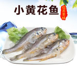 小黄花鱼淘宝主图