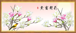 玉兰花