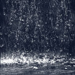 暴雨