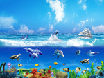 海底世界