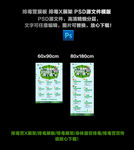 排毒营海报 排毒海报