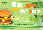 餐垫纸  海报  绿色  有机