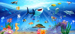 海洋生物