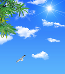 蓝天白云