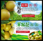 翠冠梨